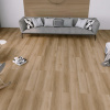 711 Дуб Арриго